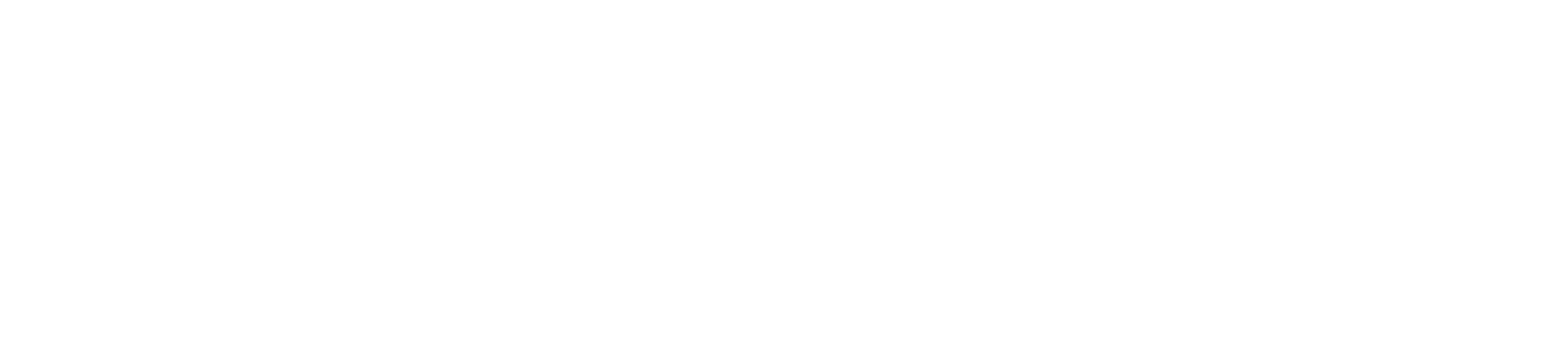 10NEXUS